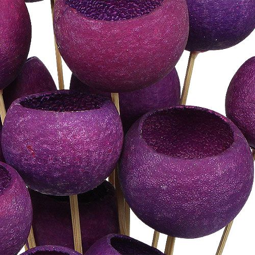 Floristik24 Bell Cup Mix na špejli Erika 15 ks