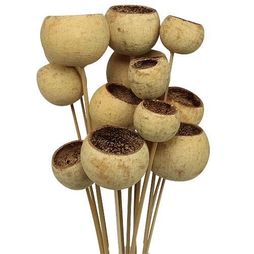 položky Bell Cup Mix na špejli Natural Exotics 15 ks
