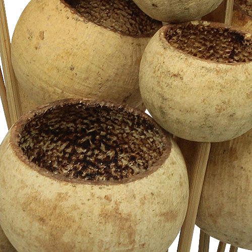 položky Bell Cup Mix na špejli Natural Exotics 15 ks