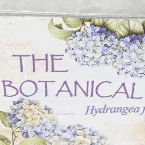 položky Oválná kovová květinová mísa s uchy, pro hortenzie, 32×15×15 cm