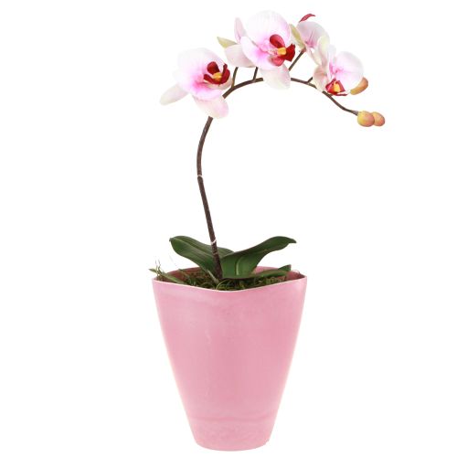 položky Květináč plastová váza květináč na orchidej růžový H16,5cm 4ks