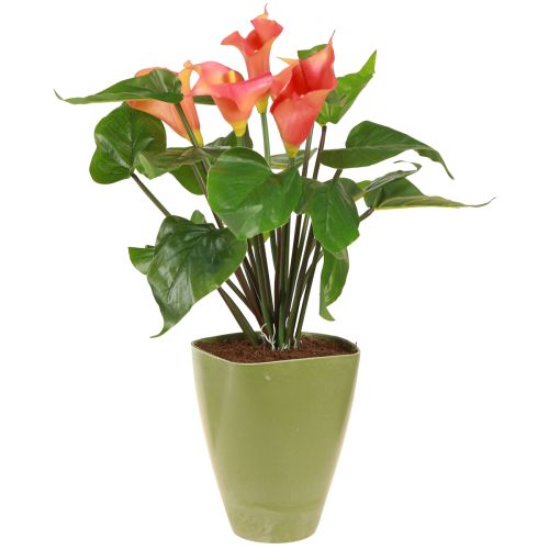 položky Květináč na orchidej květináč plastová váza zelená H16,5cm 4ks