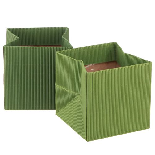 Floristik24 Květináč papír žebrovaný olivově zelený 12cm 6 ks