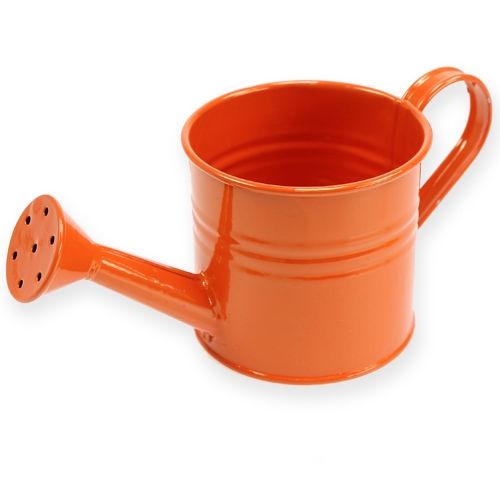 Floristik24 Konev Ø11cm V9cm 8ks. seřazené podle barvy