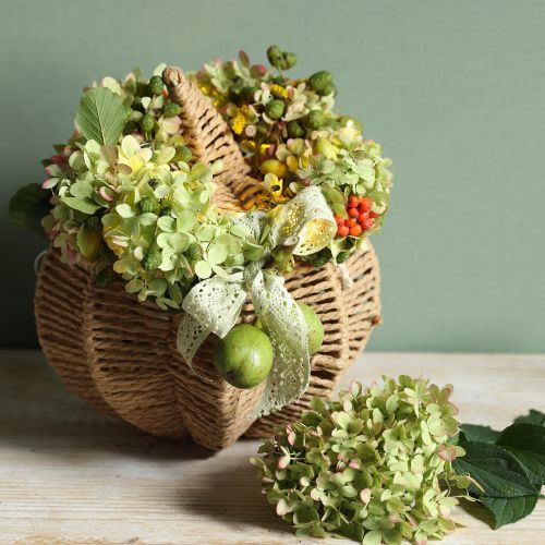 Floristik24 Dekorativní dýňová rafie přírodní rustikální podzimní dekorace Ø25cm V25cm