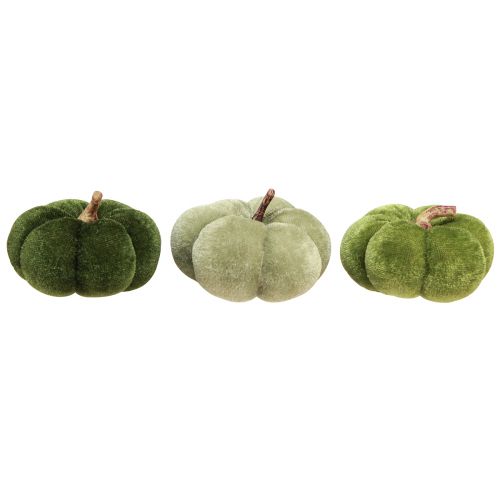 Floristik24 Dekorativní dýně z látky sametově zelené Ø7cm V4,5cm 9 kusů