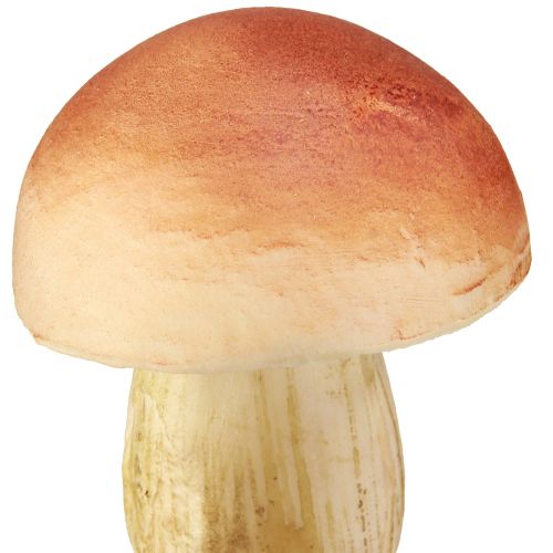 položky Ozdobné žampiony na špejli malé a velké hnědé H10/11,5cm 8 kusů
