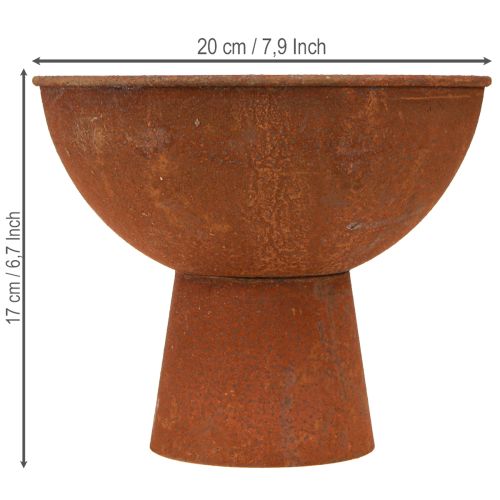 položky Dekorativní miska s nohou, kalichová mísa, rezavě zbarvený kov, Ø20,5 cm, 2 kusy