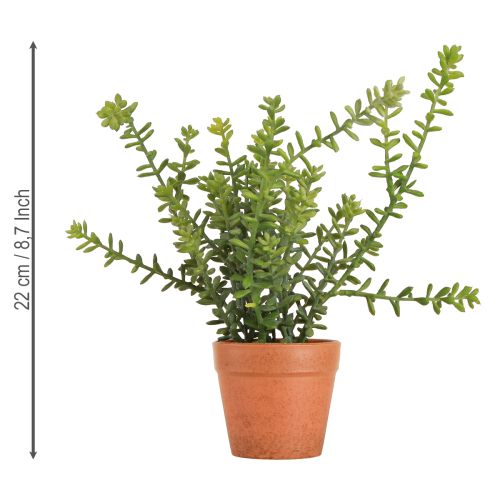 položky Dekorativní tymián v květináči umělé bylinky Kuchyňská dekorace 25cm