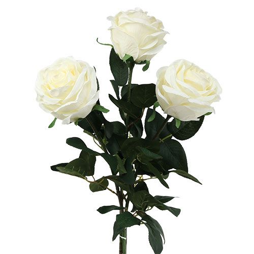 Floristik24 Dekorativní růže krémová plněná Ø8cm L68cm 3ks