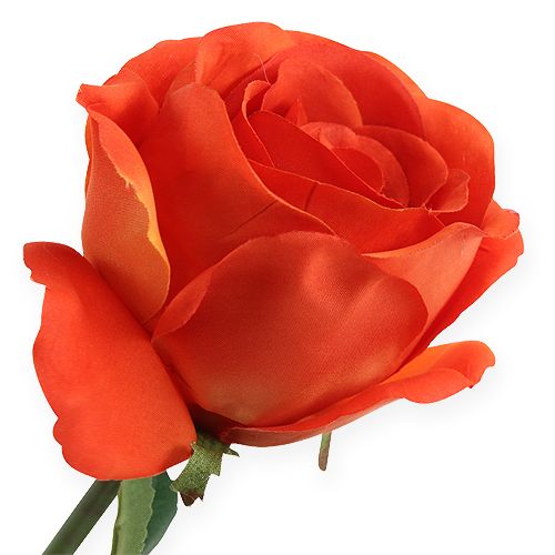položky Ozdobné růže oranžové 32cm 6ks