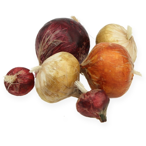 Floristik24 Cibule velká a malá umělá 14ks.