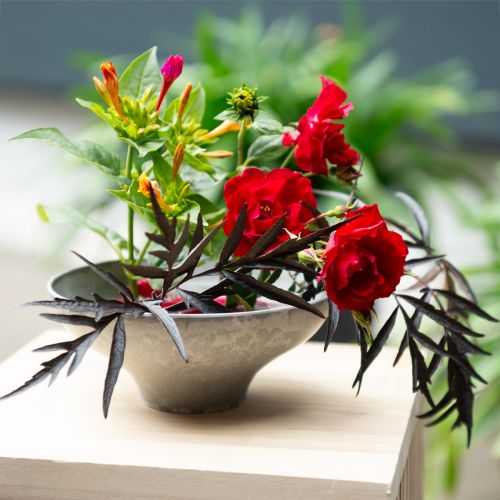 Floristik24 Dekorativní miska s podstavcem, kulatá miska na rostliny, šedá, Ø19cm, V8cm