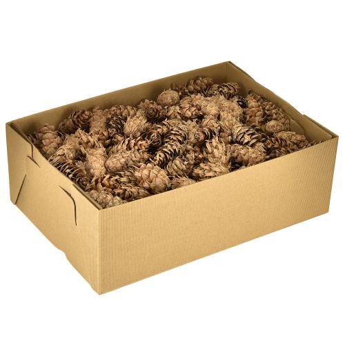 položky Douglasovy šišky 1,3 kg