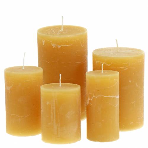Floristik24 Barevné svíčky Honey Různé velikosti