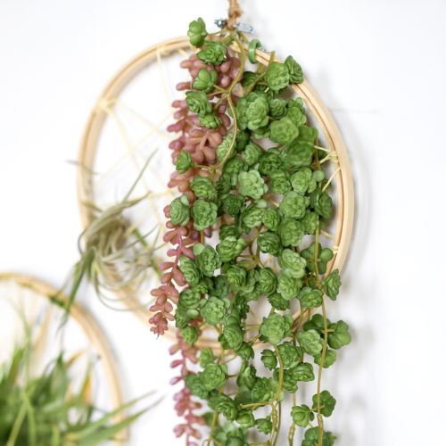 položky Umělé závěsné rostliny echeverie v zelené barvě Š12 cm D50 cm