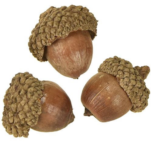 položky Žaludy na dekoraci, podzimní dekorace, přírodní podzimní plody Ø1,5 – 2,5 cm D1,5 – 3 cm 300 g