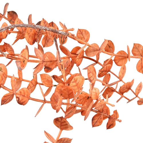 položky Umělý eukalyptový věšák podzimní eukalyptus oranžový 150cm