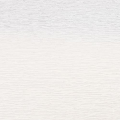 položky Krepový papír pro květinářství bílý 50×250cm 5ks