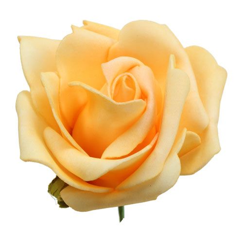 položky Pěnová růže Ø 8cm meruňka 18str