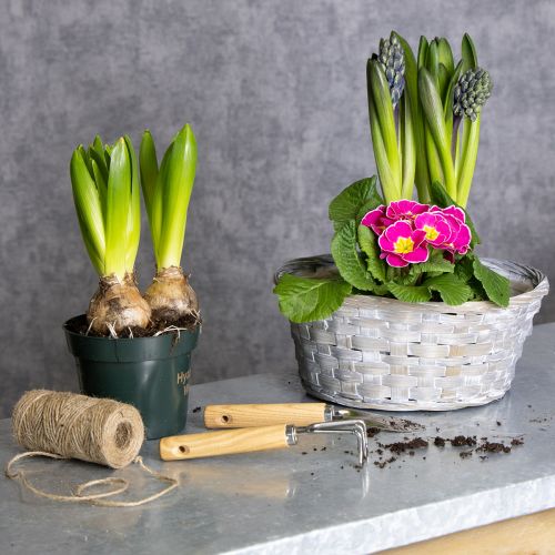 položky Pletený koš jako stylová květinová dekorace do obývacího pokoje. Velikonoční koš, 23 cm, 6 kusů.