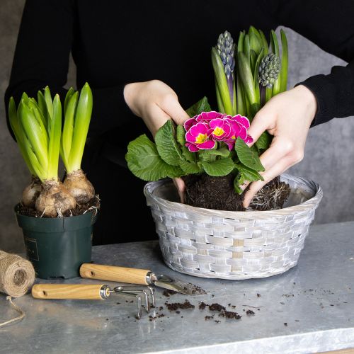 položky Pletený koš jako stylová květinová dekorace do obývacího pokoje. Velikonoční koš, 23 cm, 6 kusů.