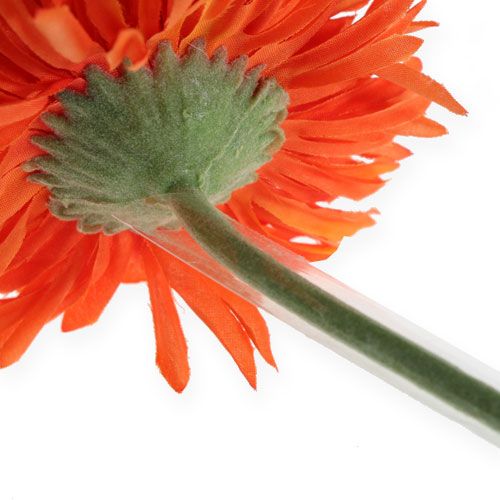 položky Podpěrná hadice Gerbera 15mm, 200m