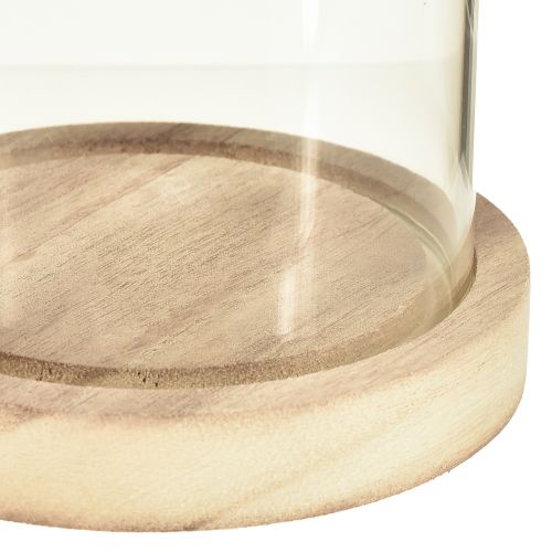 položky Skleněný zvonek se základnou z čirého přírodního dřeva Ø12cm V21cm