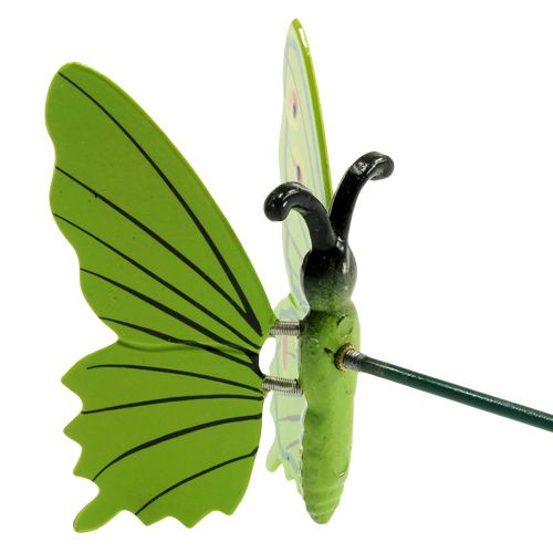 Floristik24 Motýl na špejli 17cm zelený