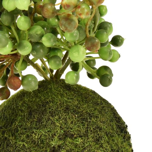 položky Šňůrka z umělých perel v mechové kouli ze zelené rostliny 38cm