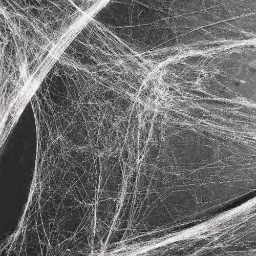 Floristik24 Halloweenská dekorace pavučina 70×100cm 150g