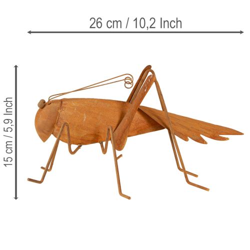 položky Zahradní dekorace s kobylkou, rezavý kov, volně stojící dekorace, 26 cm