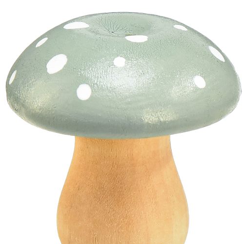 položky Dřevěné houby dekorativní houby dřevěné muchovníky zelená máta 5cm 8 ks