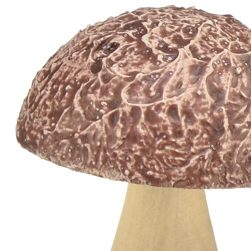 položky Dřevěné houby dekorační houby stolní dekorace podzimní hnědá přírodní 5×6cm 8 ks