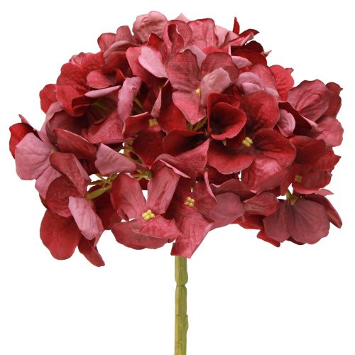 položky Hortenzie Umělá Burgundsko Velký květ Ø15cm L58cm 2ks