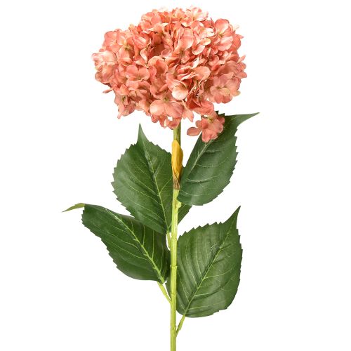 Floristik24 Hortenzie růžová 80 cm 1 ks