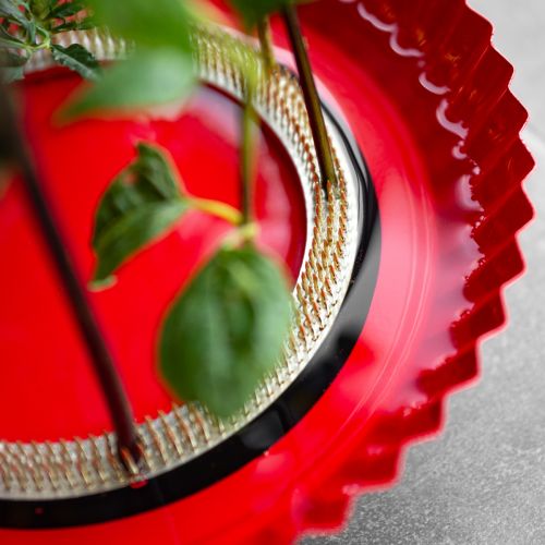 položky Pomůcka pro kolíky Kenzan Ring Mosazná pomůcka pro kolíky Ø150mm