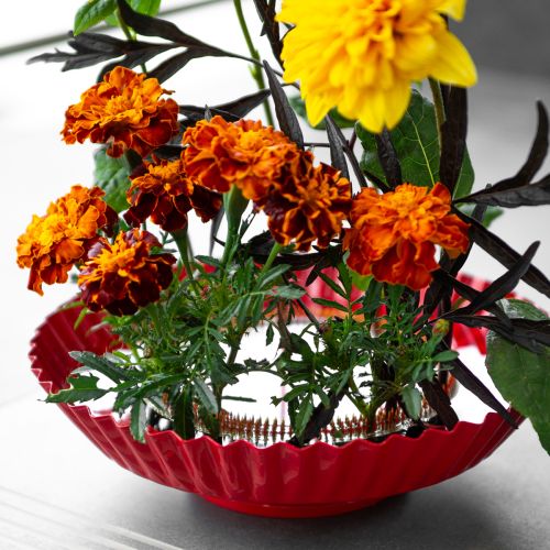 položky Pomůcka pro kolíky Kenzan Ring Mosazná pomůcka pro kolíky Ø150mm