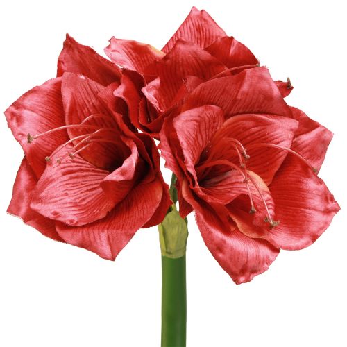 položky Umělá Amarylis Umělé květiny Červená Ø18cm L68cm 2ks
