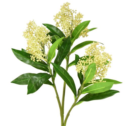Floristik24 Umělé květiny krém Skimmia japonica Skimmie 45cm 2ks