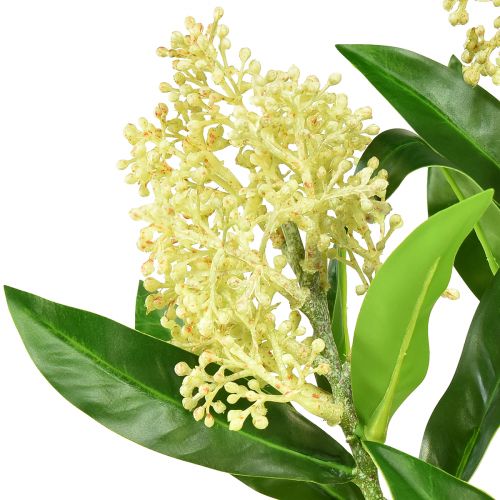 položky Umělé květiny krém Skimmia japonica Skimmie 45cm 2ks