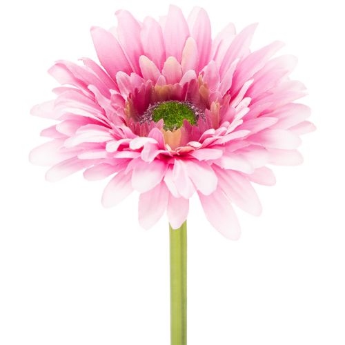 Umělé zahradní květiny gerbery, růžové, 47 cm, 6 kusů nakoupit | Floristik24.cz