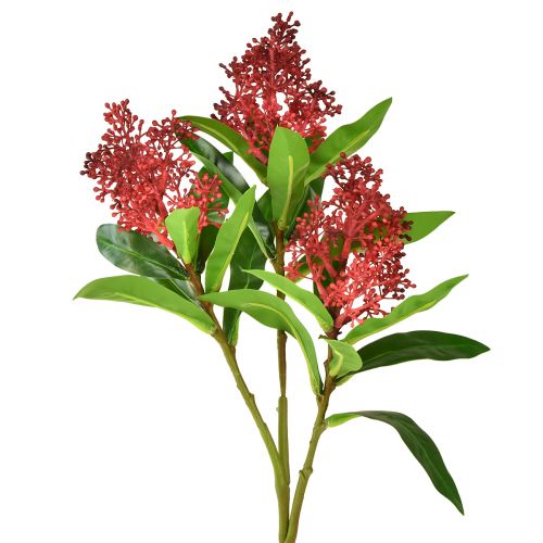 Floristik24 Umělé květiny Skimmia japonica červená Skimmia 45cm 2ks
