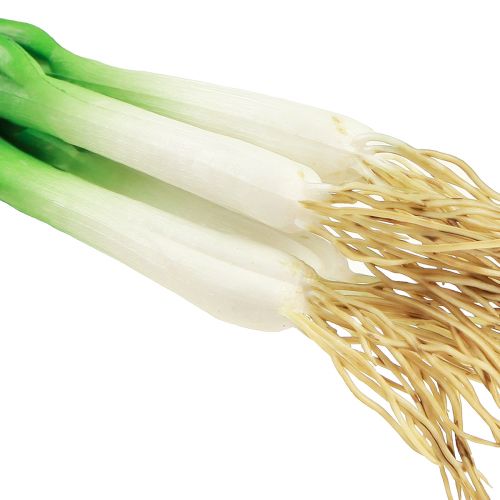 položky Umělá jarní cibulka dekorativní zelenina L30cm 4 ks