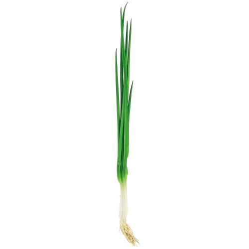 položky Umělá jarní cibulka dekorativní zelenina L30cm 4 ks