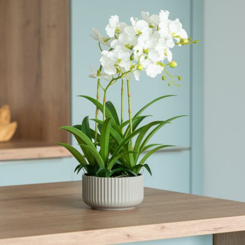 Floristik24 Umělé orchideje umělé květiny v květináči bílé 60cm