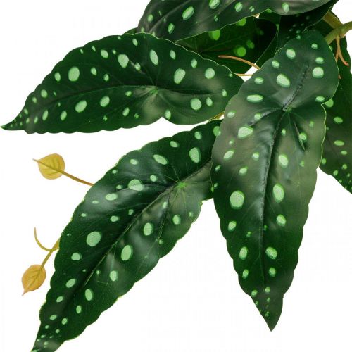 položky Umělá begonie Umělá rostlina zelená, tmavě zelená 42×28cm