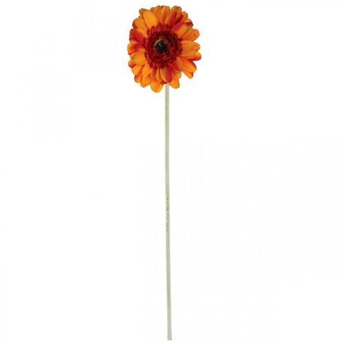 položky Umělý květ gerbery, umělý květ oranžový Ø11cm 50cm