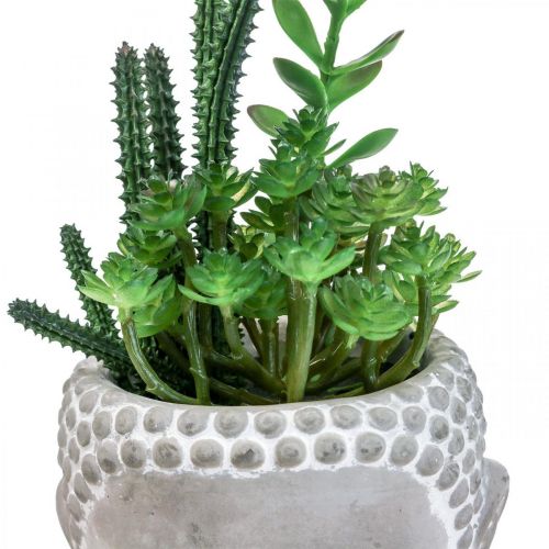 Floristik24 Umělý sukulentní květináč Buddha Ø12cm V24cm
