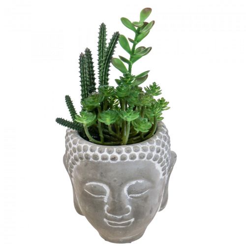 Floristik24 Umělý sukulentní květináč Buddha Ø12cm V24cm